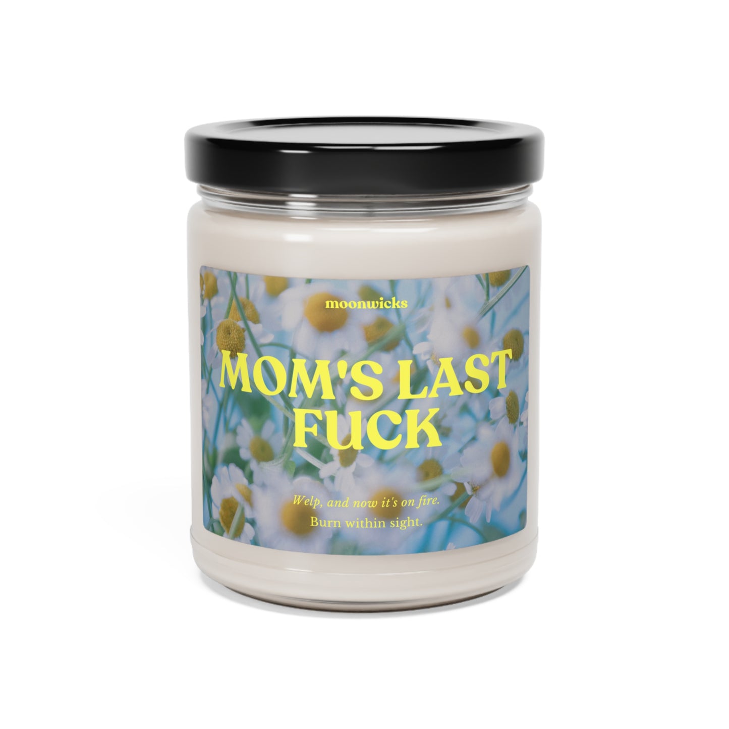 Mom's Last Fuck, Welp Now It's On Fire