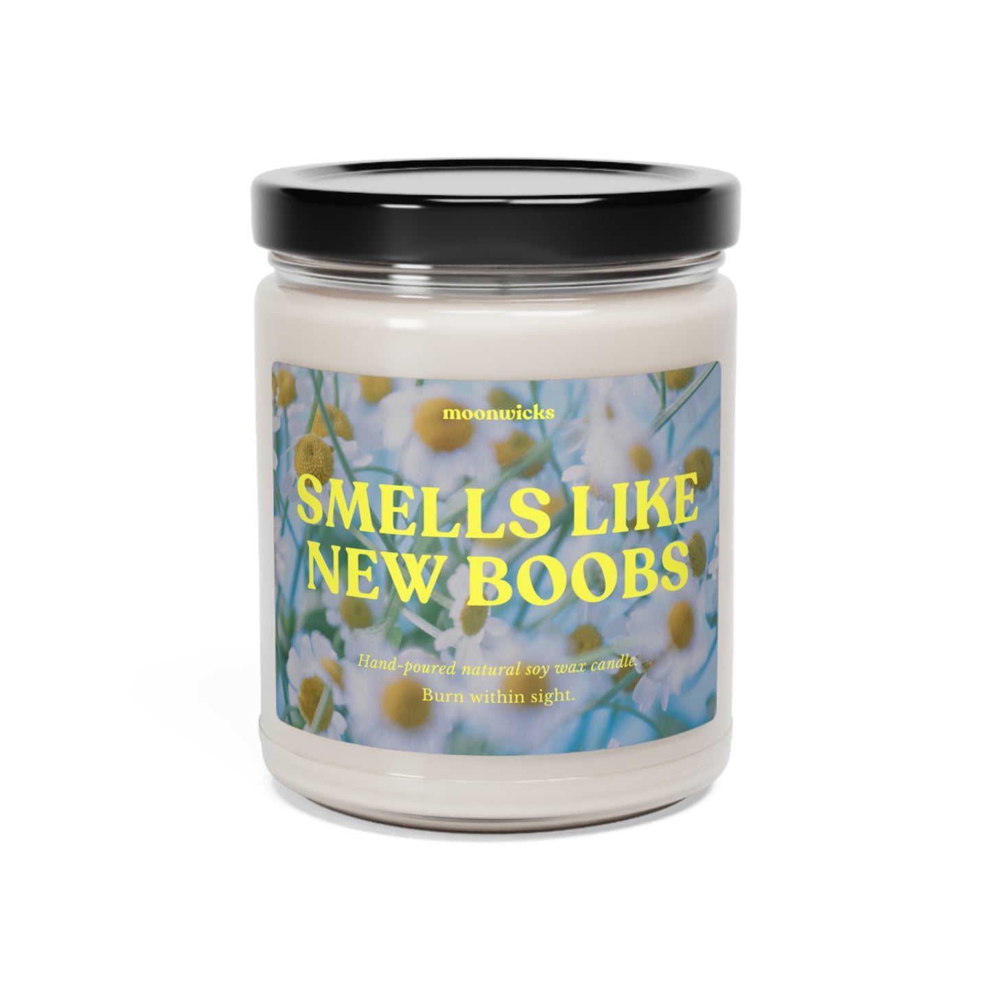 Smells Like New Boobs